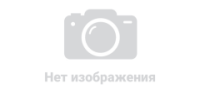 Логотип НФТ Плюс